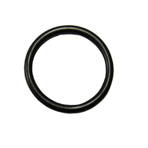 GUARNIZIONE per salterello 1" O-RING