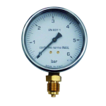 Manometro  0-6 bar radiale per VAPORE attacco 3/8