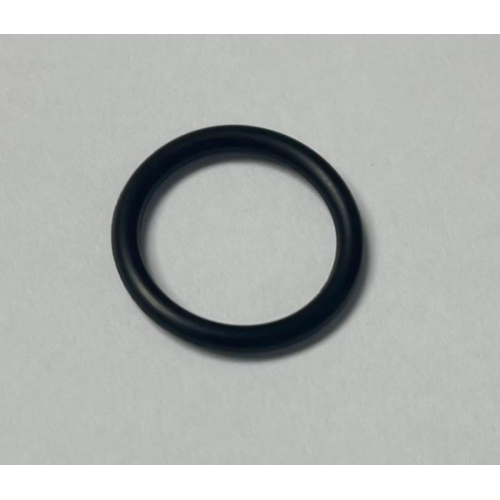 1PZ O-RING GUARNIZIONE SCAMBIATORE MTS65153935