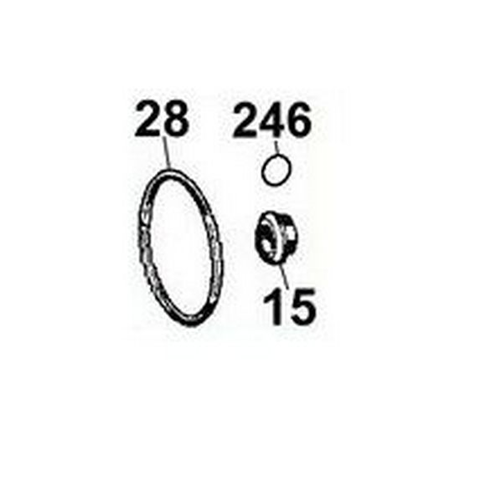 Tenuta meccanica FN-15 + O-RING  x  EURO